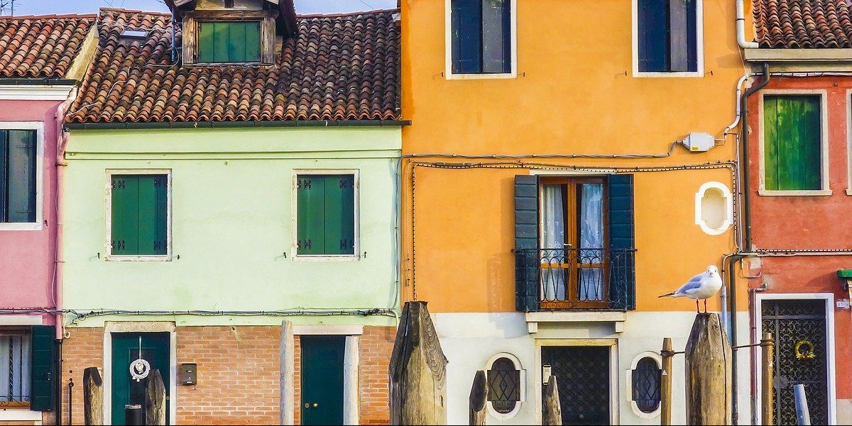 Case colorate Venezia, gabbiano appollaiato.